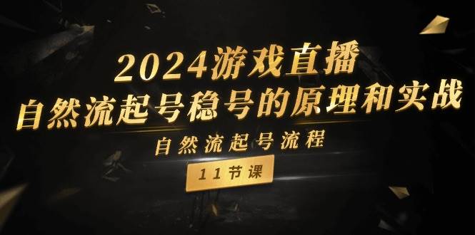 2024游戏直播-自然流起号稳号的原理和实战，自然流起号流程（11节）-智宇达资源网