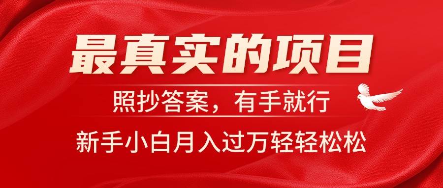 最真实的项目，照抄答案，有手就行，新手小白月入过万轻轻松松-智宇达资源网