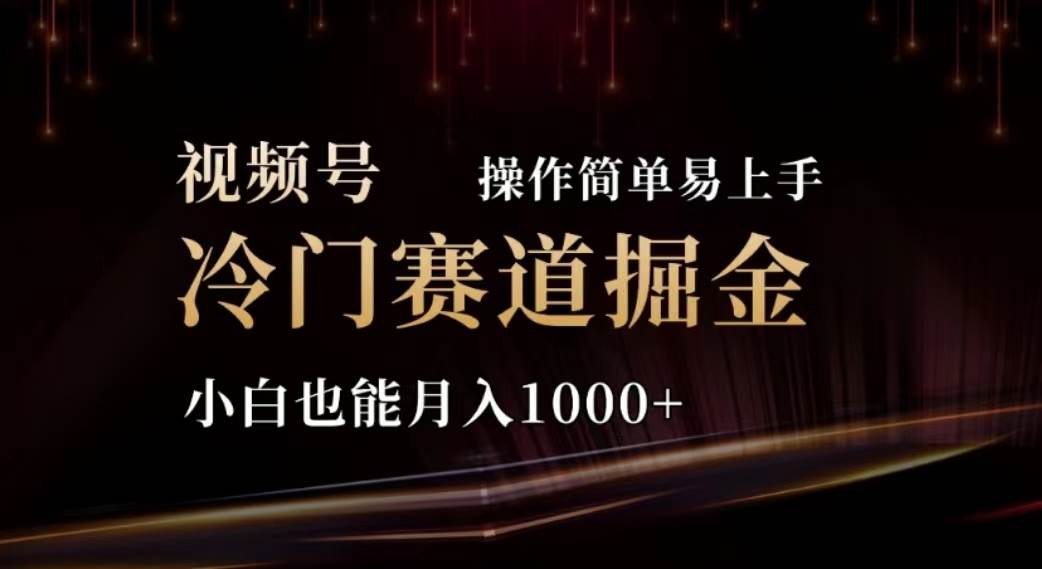 2024视频号冷门赛道掘金，操作简单轻松上手，小白也能月入1000+-智宇达资源网