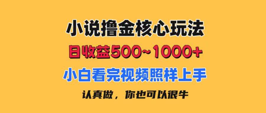 小说撸金核心玩法，日收益500-1000+，小白看完照样上手，0成本有手就行-智宇达资源网