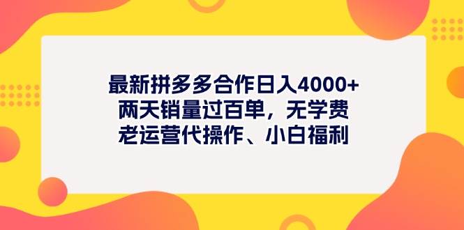 图片[1]-最新拼多多项目日入4000+两天销量过百单，无学费、老运营代操作、小白福利-智宇达资源网