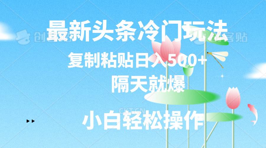 最新头条冷门玩法，隔天就爆，复制粘贴日入500+-智宇达资源网