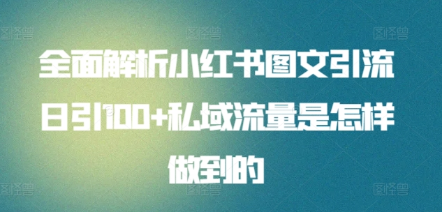 全面解析小红书图文引流日引100私域流量是怎样做到的-智宇达资源网