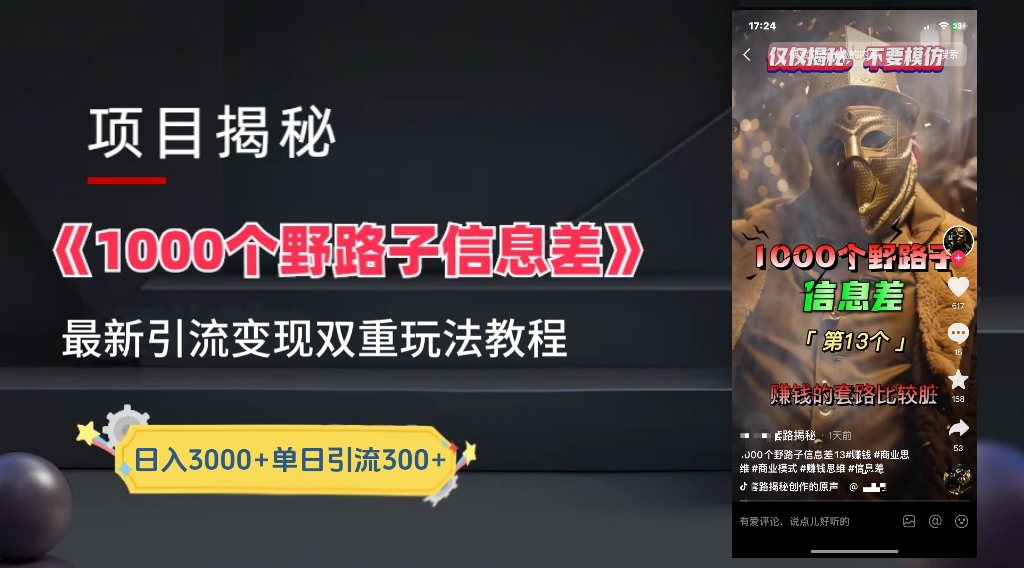 一千个野路子信息差24年最新玩法教程附带变现方法和引流的玩法具体拆解-智宇达资源网