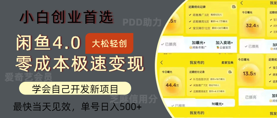 闲鱼0成本极速变现项目，多种变现方式，单号日入500+最新玩法-智宇达资源网