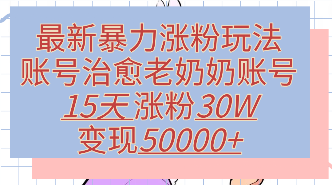 最新暴力涨粉玩法，治愈老奶奶账号，15天涨粉30W，变现50000+【揭秘】-智宇达资源网