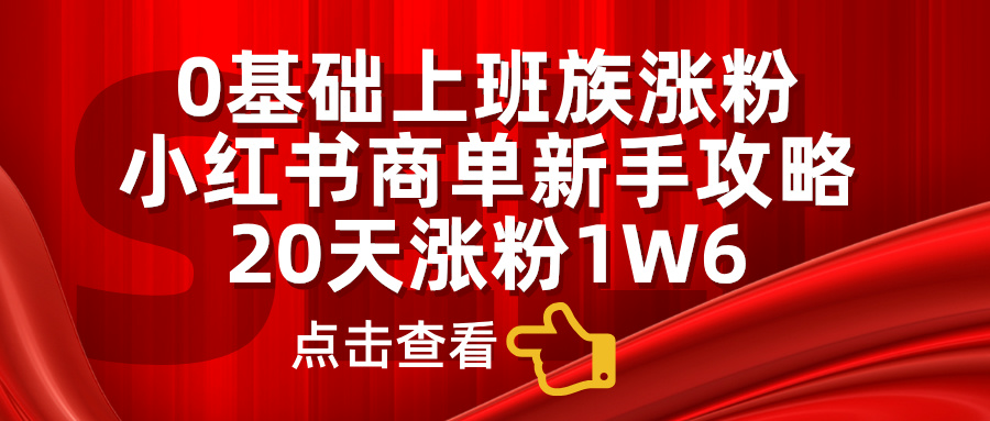 0基础上班族涨粉，小红书商单新手攻略，20天涨粉1.6w-智宇达资源网