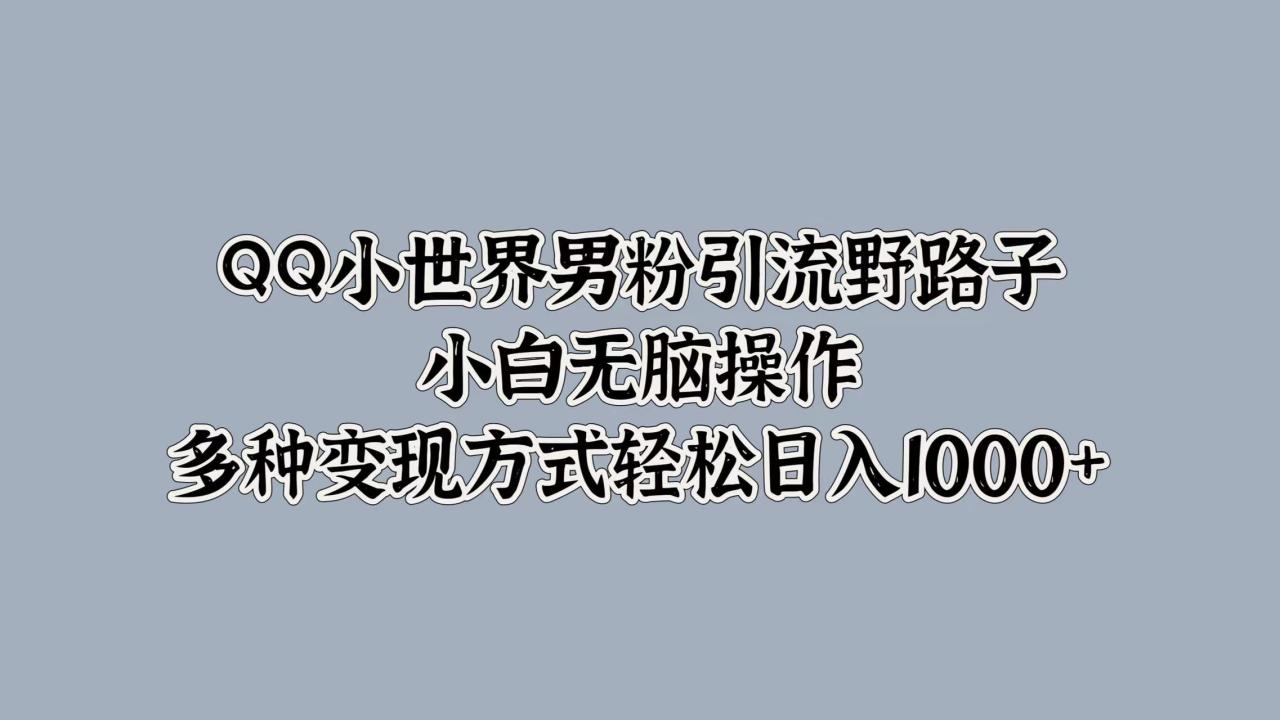 QQ小世界男粉引流野路子，小白无脑操作，多种变现方式轻松日入1000+-智宇达资源网