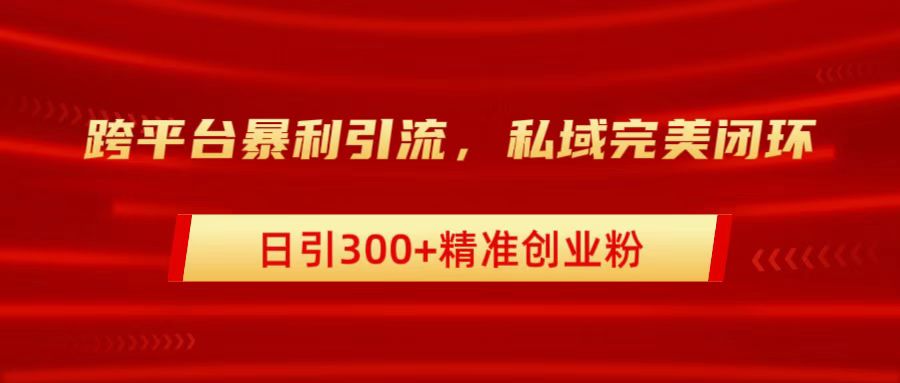 跨平台暴力引流，私域完美闭环，日引300+精准创业粉-智宇达资源网