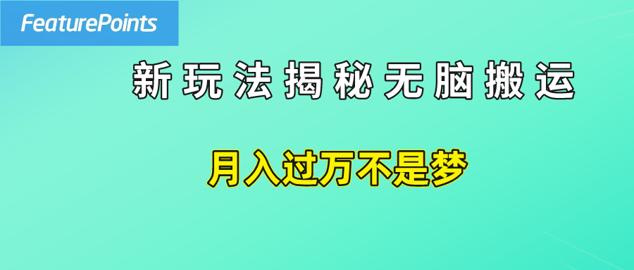 简单操作，每天50美元收入，搬运就是赚钱的秘诀！-智宇达资源网