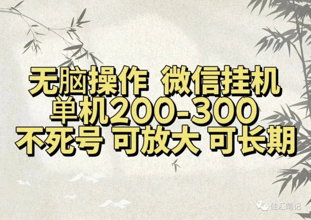 无脑操作微信视频号挂机单机200-300一天，不死号，可放大，工作室实测-智宇达资源网