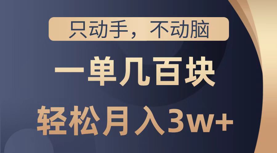 只动手不动脑，一单几百块，轻松月入2w+，看完就能直接操作，详细教程-智宇达资源网