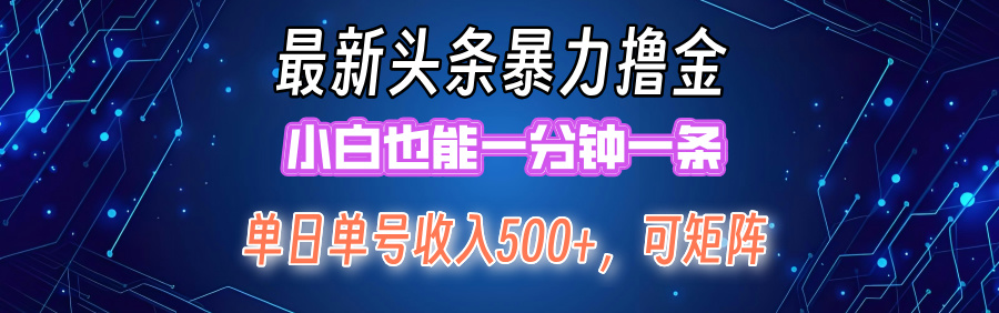 最新头条撸金，小白也能一分钟一条-智宇达资源网