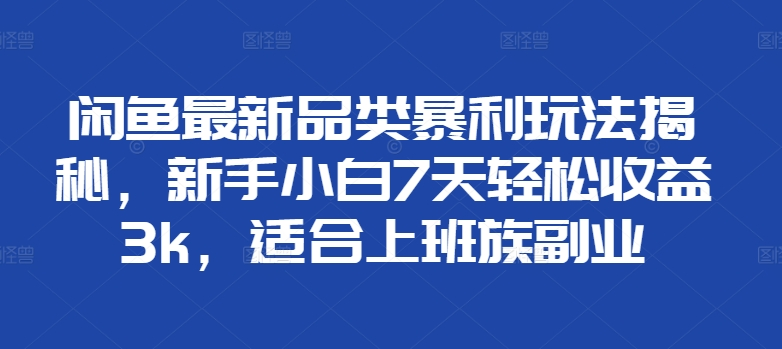 闲鱼最新品类暴利玩法揭秘，新手小白7天轻松赚3000+，适合上班族副业-智宇达资源网