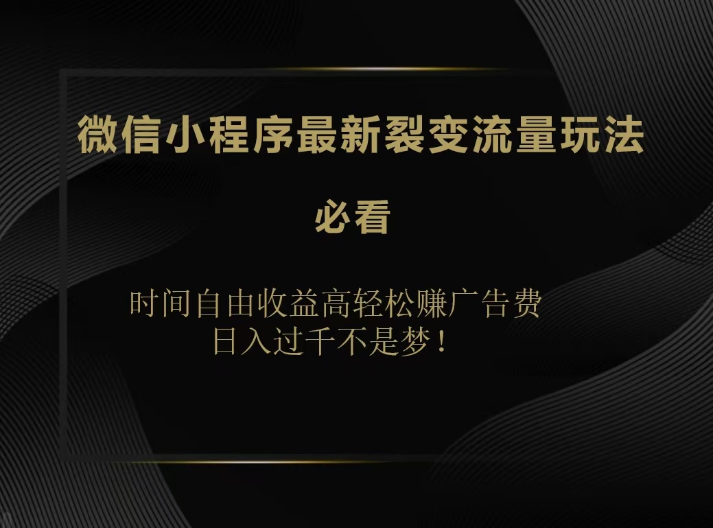 微信小程序最新裂变流量玩法，时间自由收益高轻松赚广告费，日入200-500+-智宇达资源网