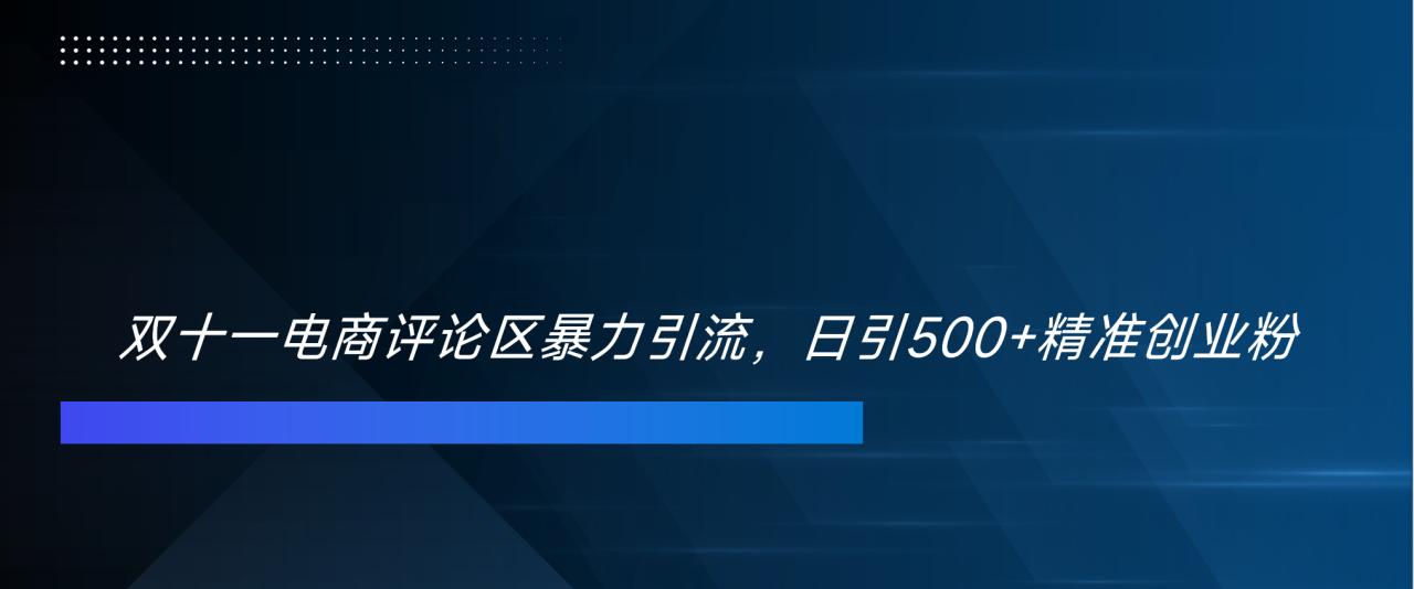 双十一电商评论区暴力引流，日引500+精准创业粉！！！-智宇达资源网