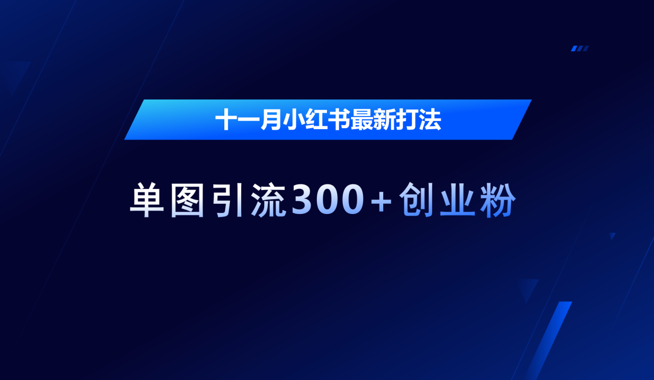 十一月，小红书最新打法，单图引流300+创业粉-智宇达资源网