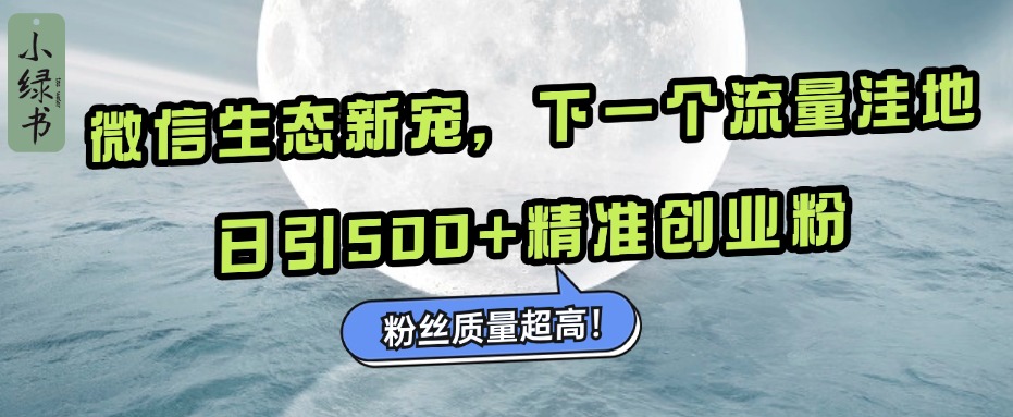 微信生态新宠小绿书：下一个流量洼地，粉丝质量超高，日引500+精准创业粉，-智宇达资源网