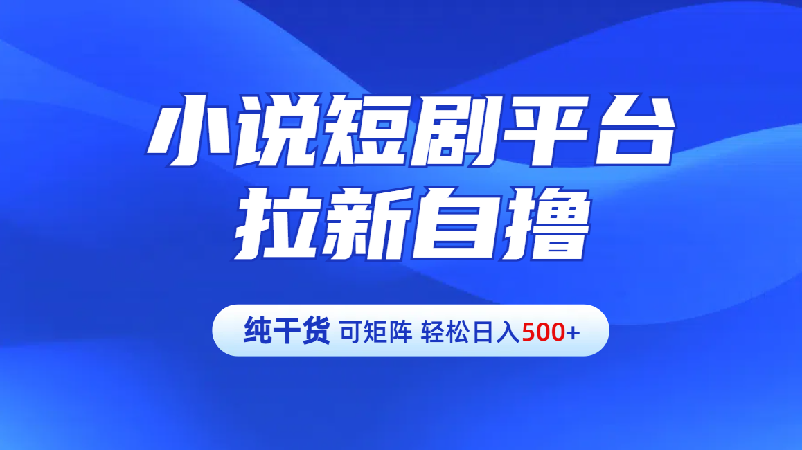 【纯干货】小说短剧平台拉新自撸玩法详解-单人轻松日入500+-智宇达资源网