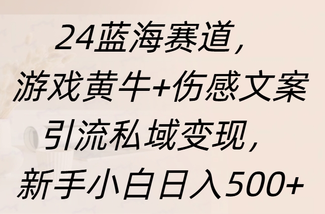 24蓝海赛道，游戏黄牛+伤感文案引流私域变现，新手日入500+-智宇达资源网