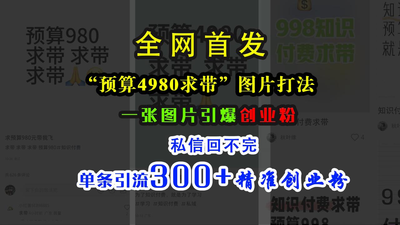 小红书“预算4980带我飞”图片打法，一张图片引爆创业粉，私信回不完，单条引流300+精准创业粉-智宇达资源网