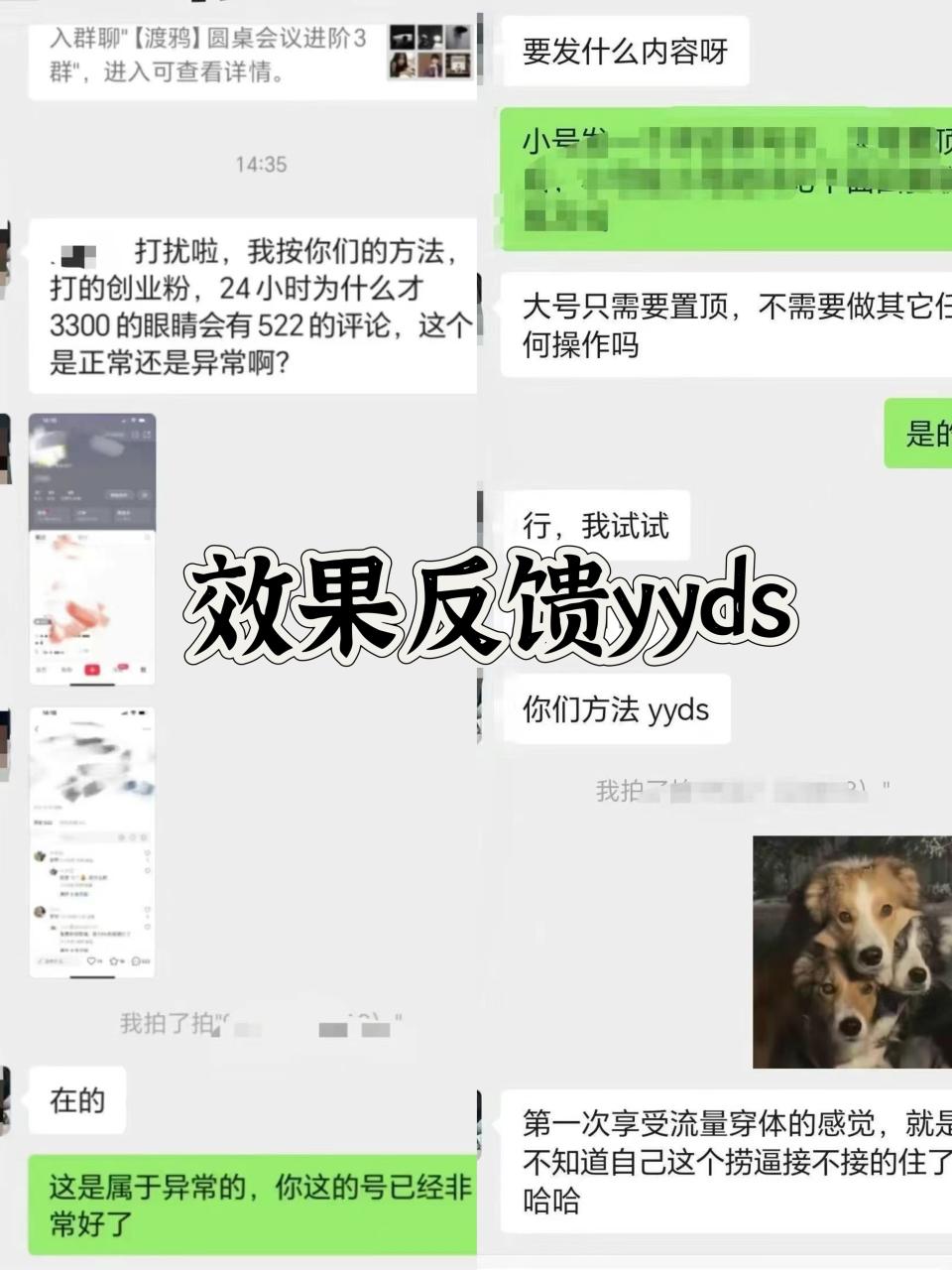 小红书，视频号，抖音黑科技引流玩法，全域平台截流自热打法 日引500+精准粉-智宇达资源网