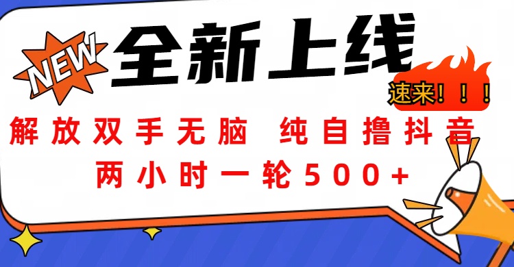 图片[1]-解放双手无脑 纯自撸抖音 两小时一轮500+-智宇达资源网