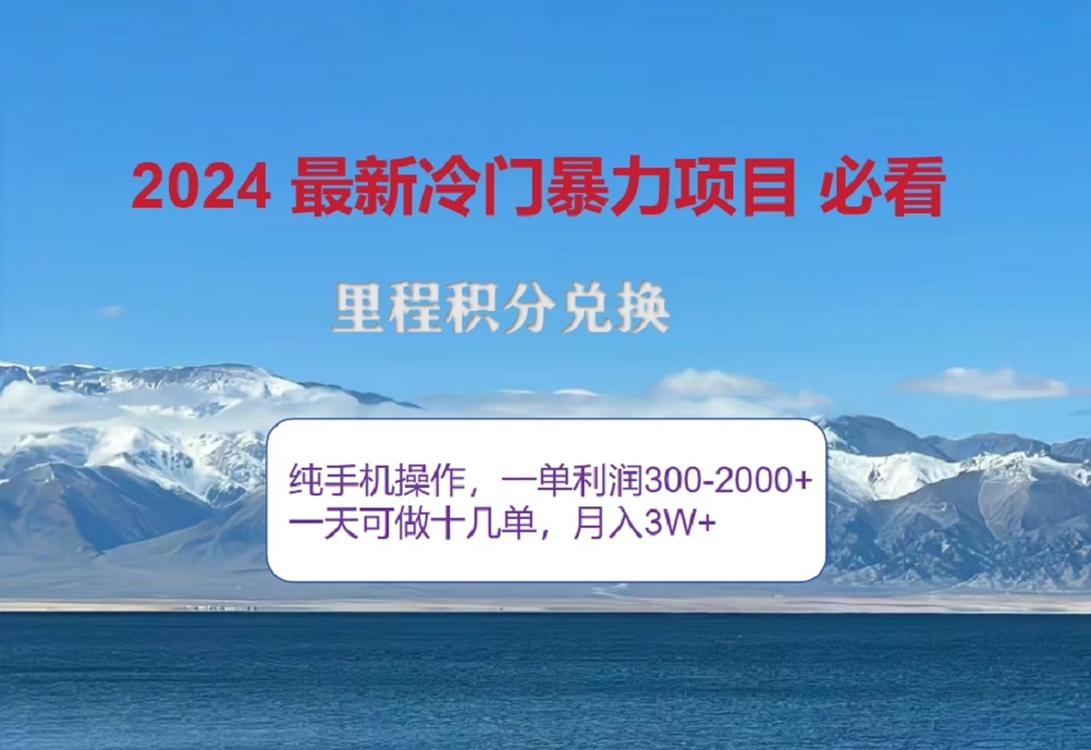 2024惊爆冷门暴利！出行高峰来袭，里程积分，高爆发期，一单300+—2000+，月入过万不是梦！-智宇达资源网