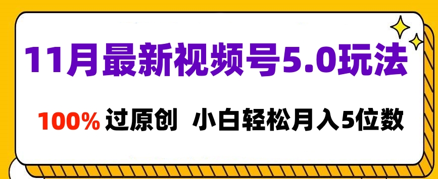 11月最新视频号5.0玩法，100%过原创，小白轻松月入5位数-智宇达资源网