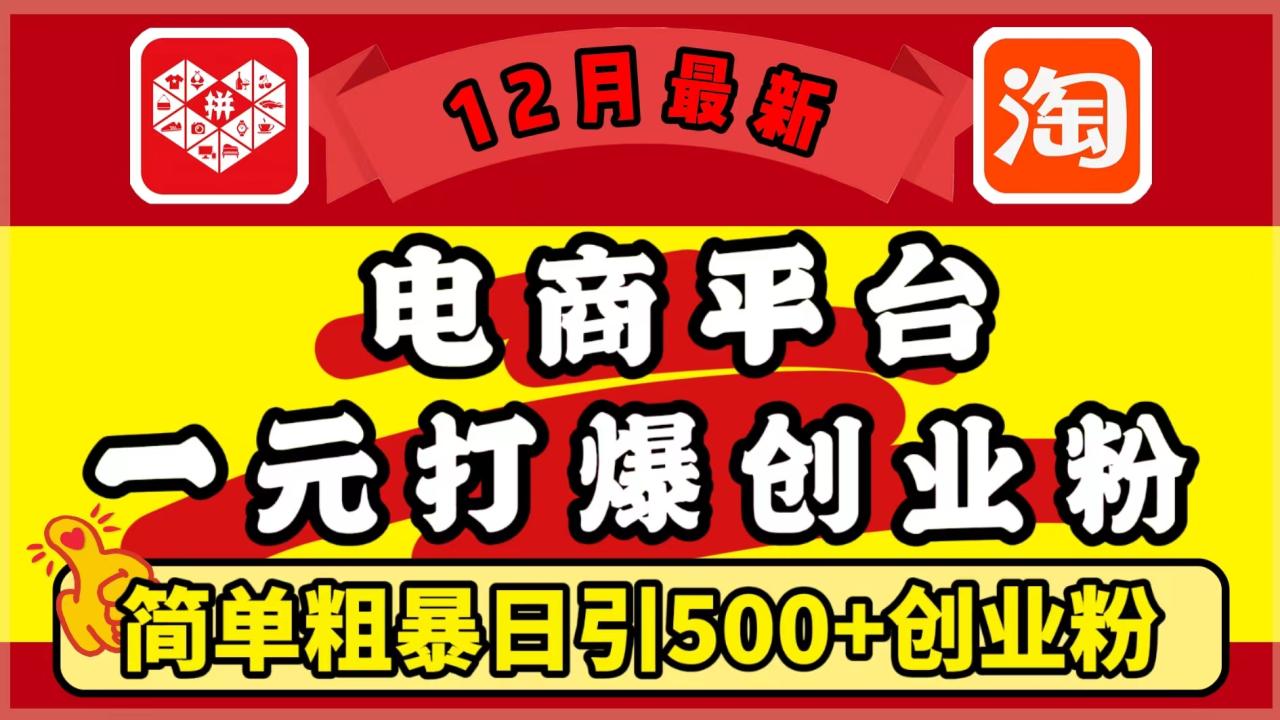 12月最新：电商平台1元打爆创业粉，简单粗暴日引500+精准创业粉，轻松月入5万+-智宇达资源网