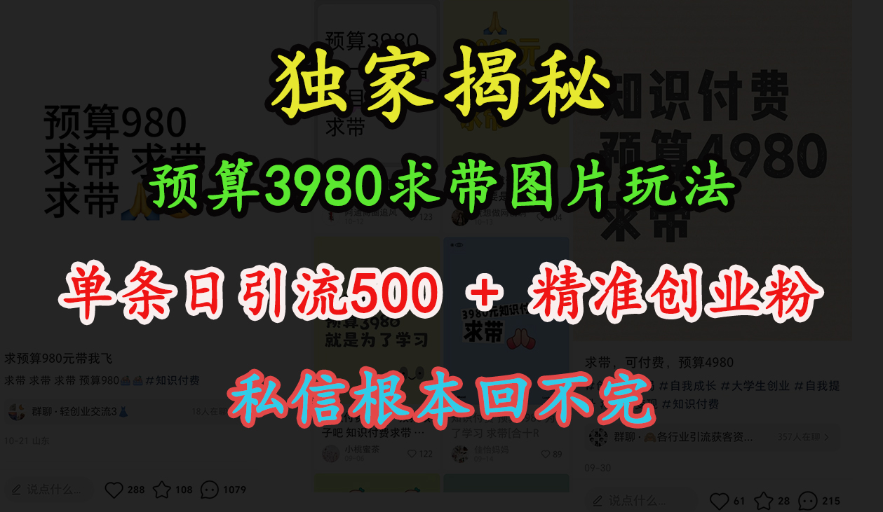 “小红书”预算3980求带 图片玩法，单条日引流500+精准创业粉，私信根本回不完-智宇达资源网